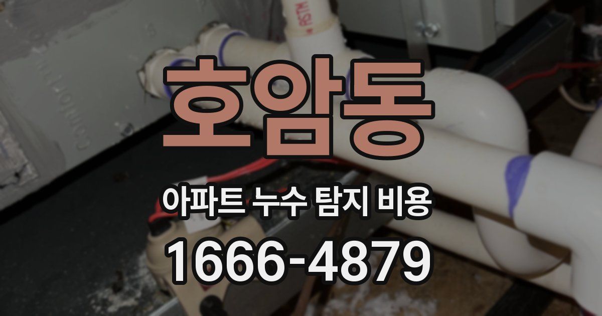 호암동 아파트 누수 탐지 비용