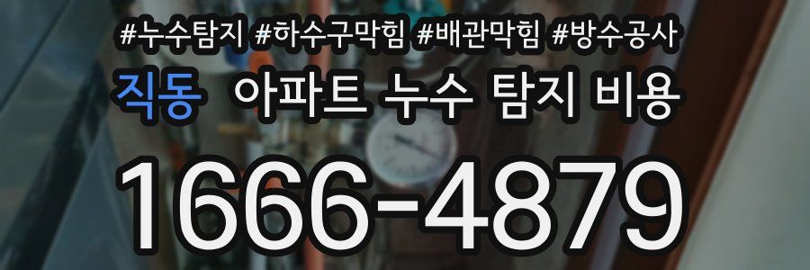 직동 아파트 누수 탐지 비용