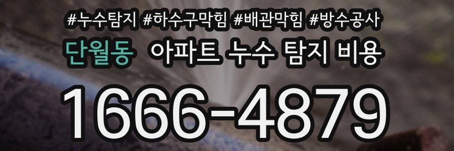 단월동 아파트 누수 탐지 비용