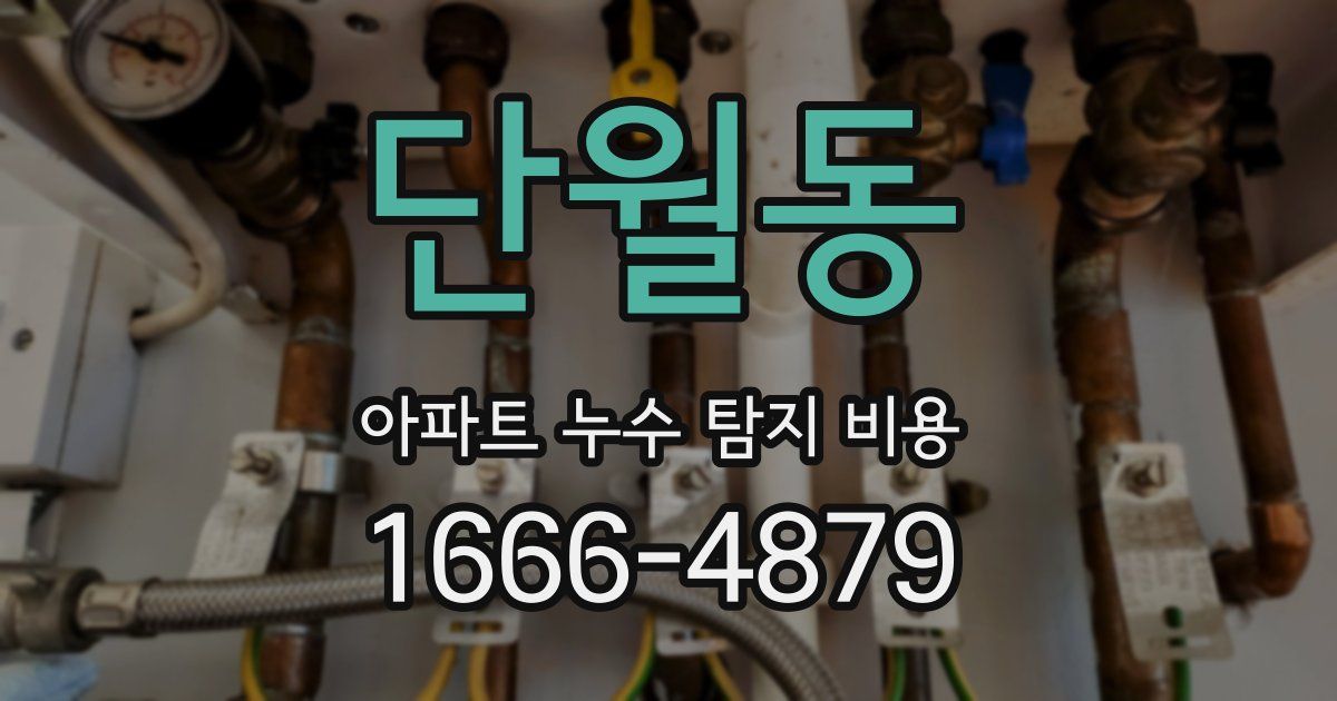 단월동 아파트 누수 탐지 비용