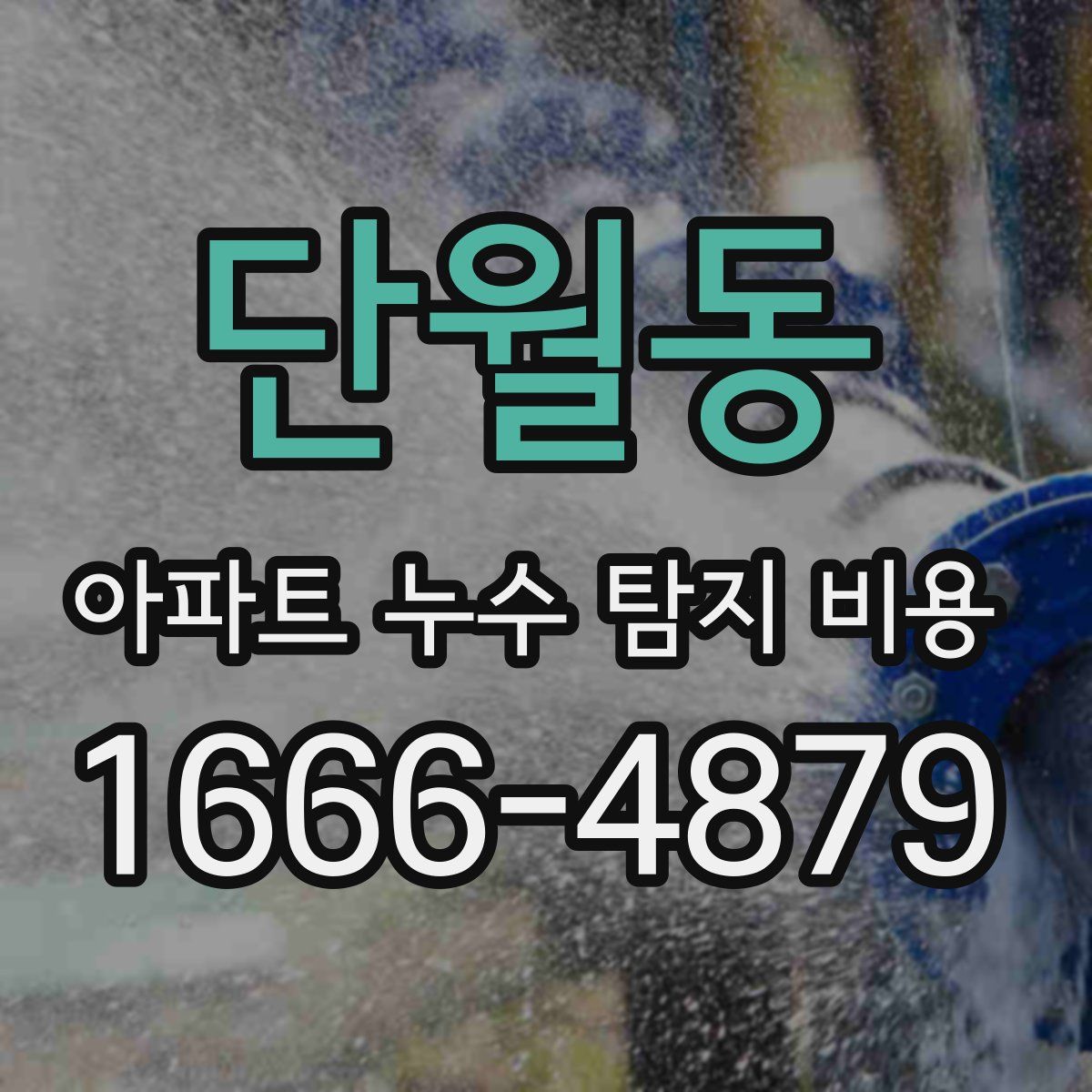 단월동 아파트 누수 탐지 비용