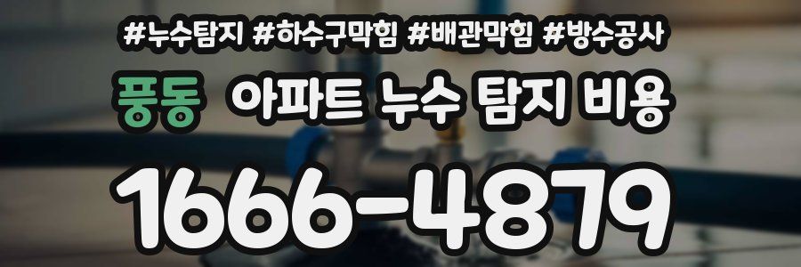 풍동 아파트 누수 탐지 비용
