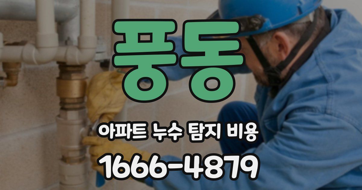 풍동 아파트 누수 탐지 비용