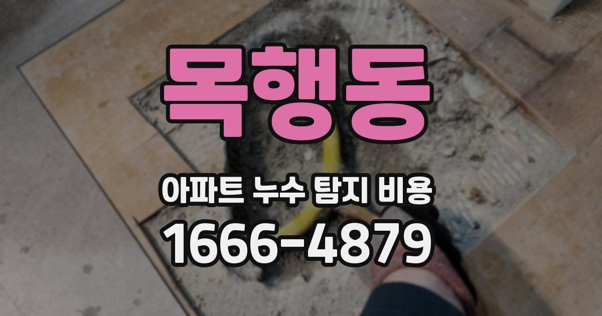 목행동 아파트 누수 탐지 비용