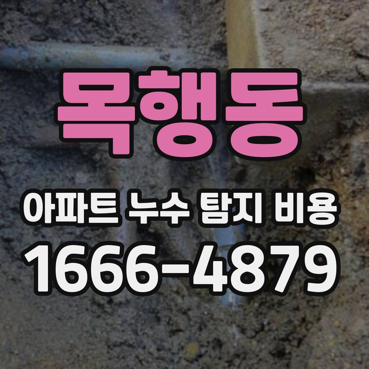목행동 아파트 누수 탐지 비용