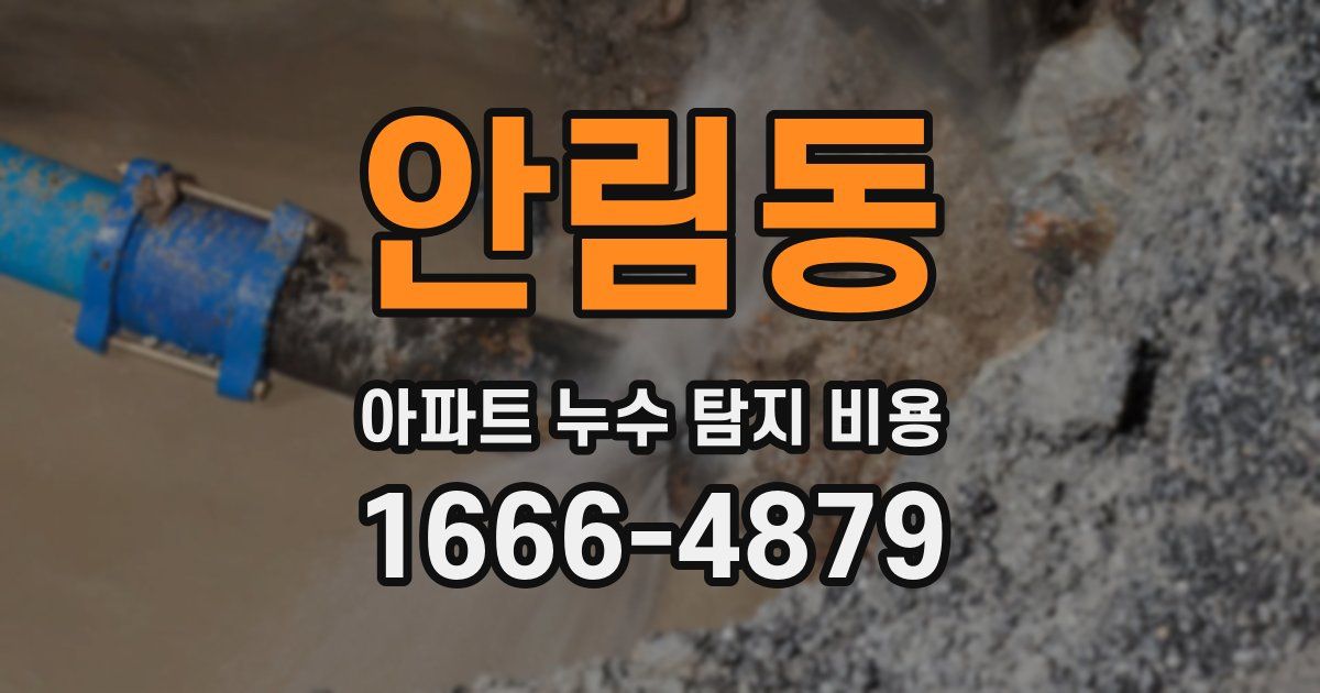 안림동 아파트 누수 탐지 비용