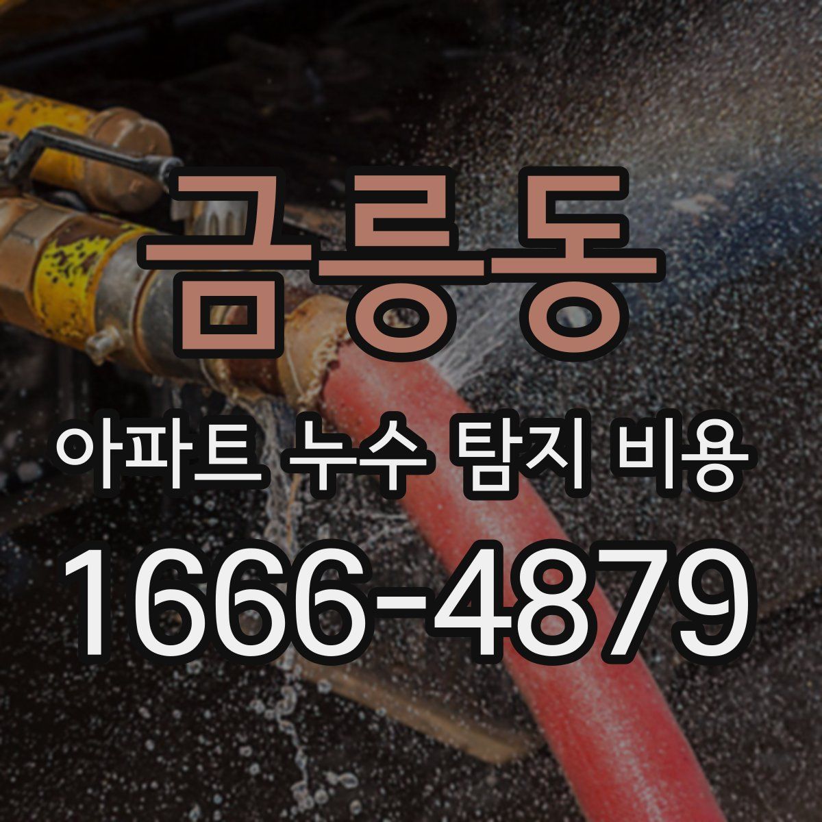 금릉동 아파트 누수 탐지 비용