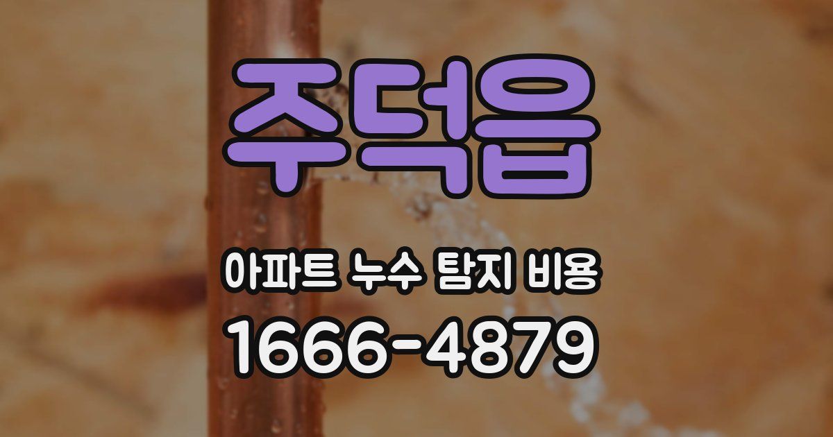 주덕읍 아파트 누수 탐지 비용