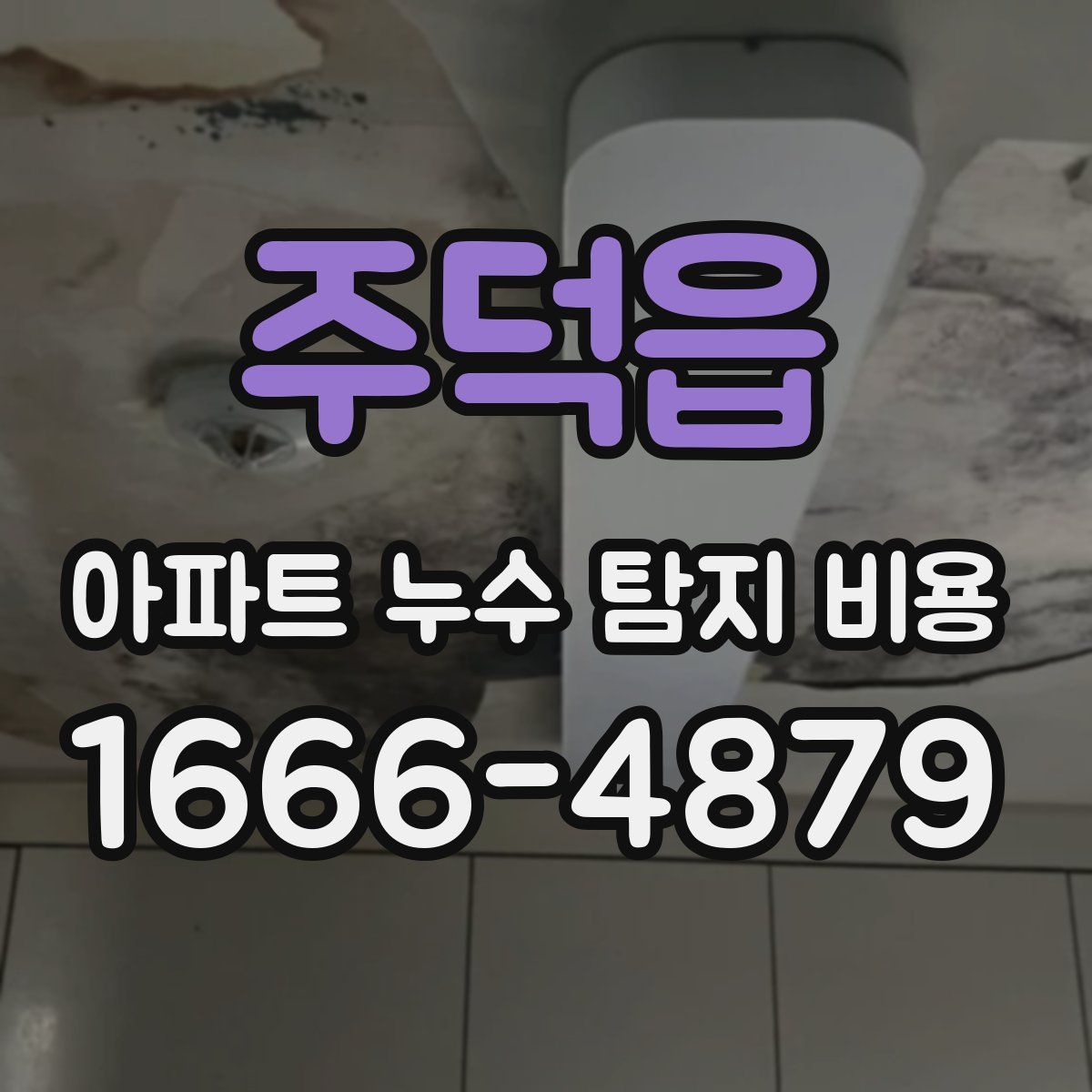 주덕읍 아파트 누수 탐지 비용