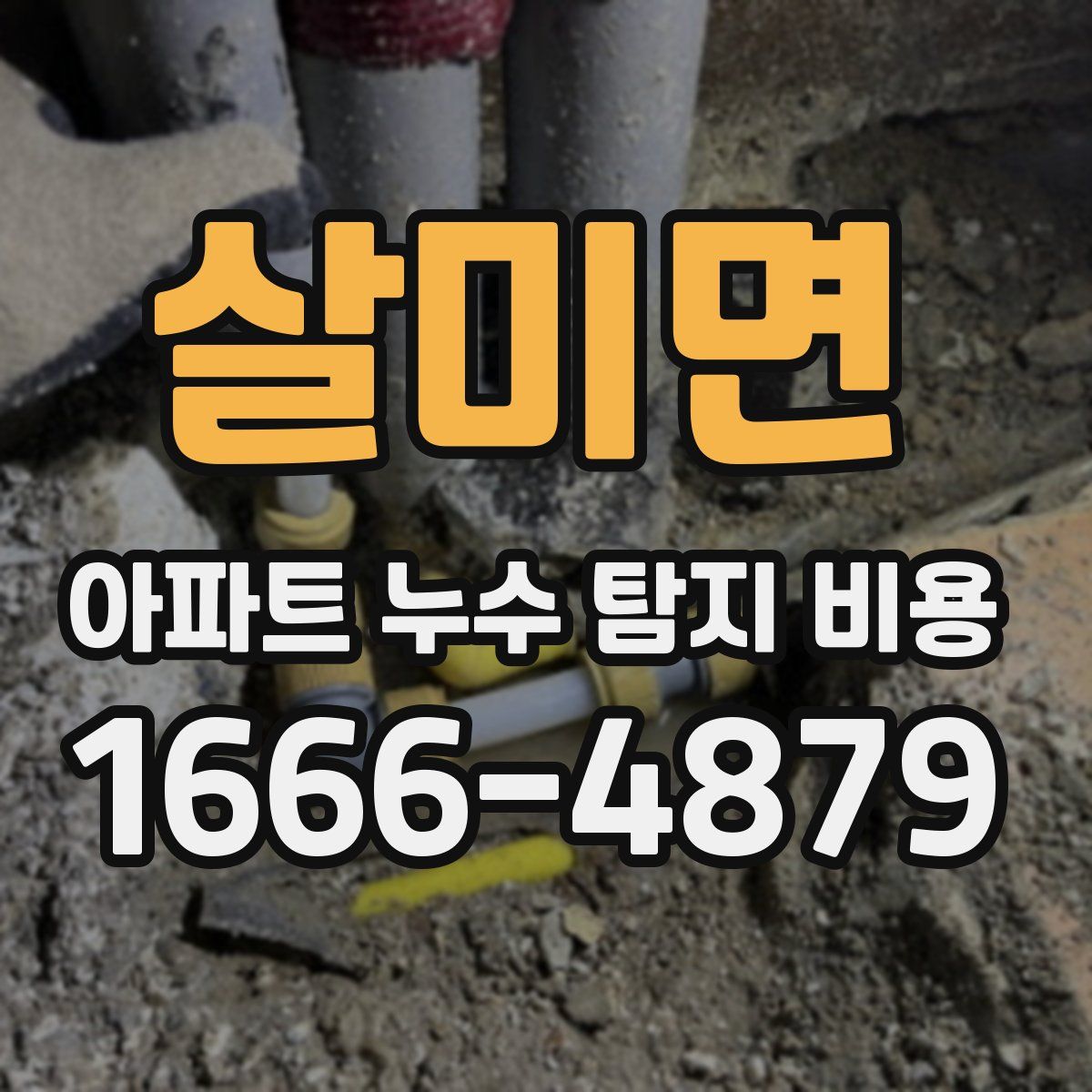 살미면 아파트 누수 탐지 비용