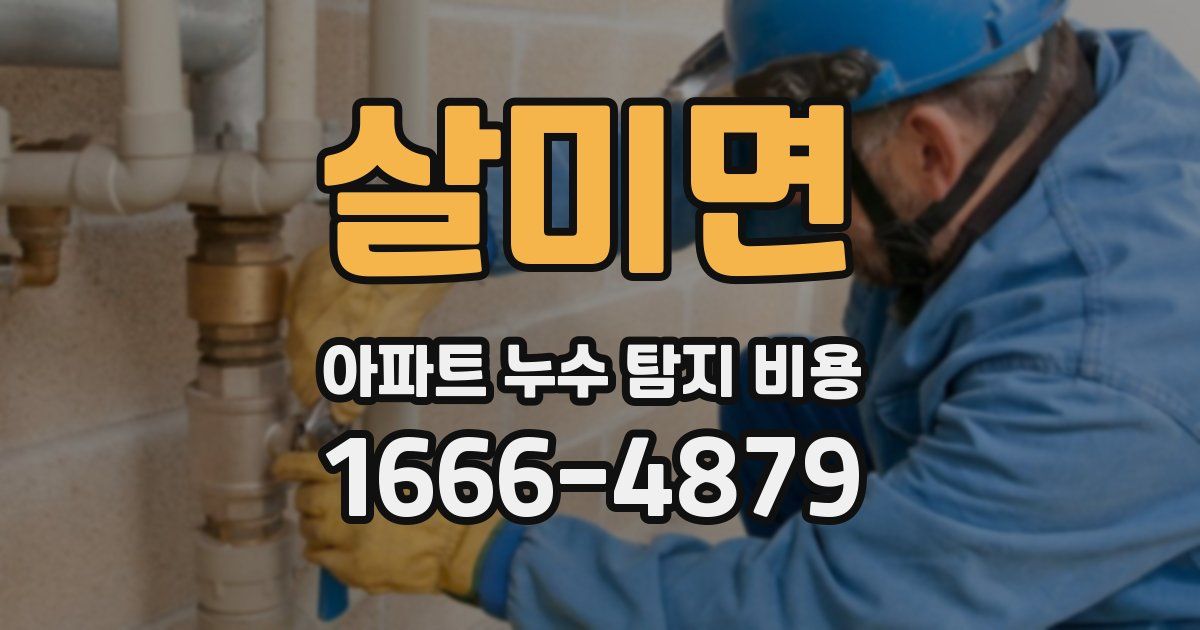 살미면 아파트 누수 탐지 비용