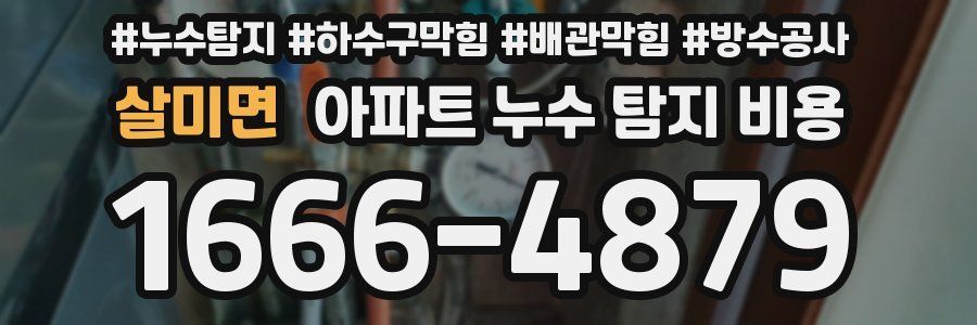 살미면 아파트 누수 탐지 비용