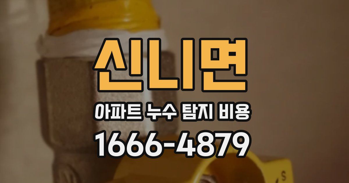 신니면 아파트 누수 탐지 비용