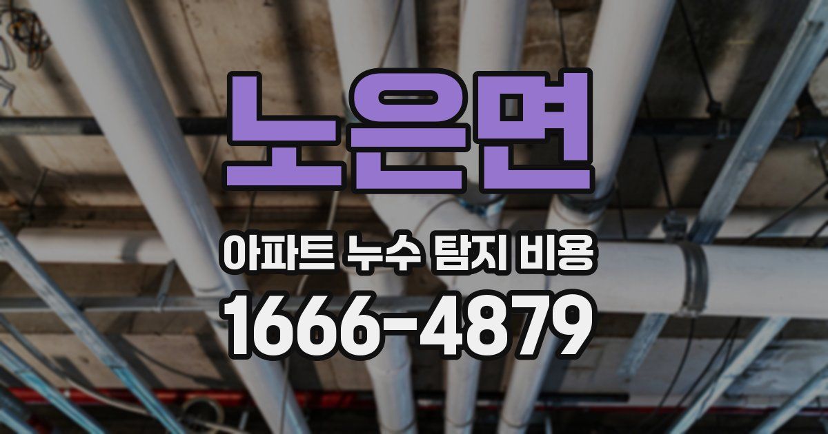 노은면 아파트 누수 탐지 비용