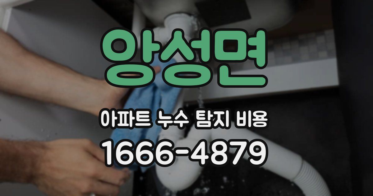 앙성면 아파트 누수 탐지 비용