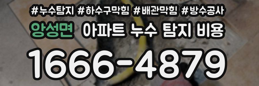 앙성면 아파트 누수 탐지 비용