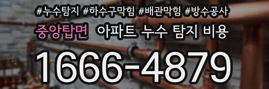 중앙탑면 아파트 누수 탐지 비용