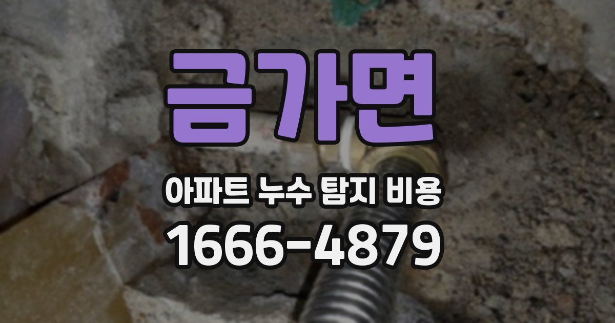 금가면 아파트 누수 탐지 비용