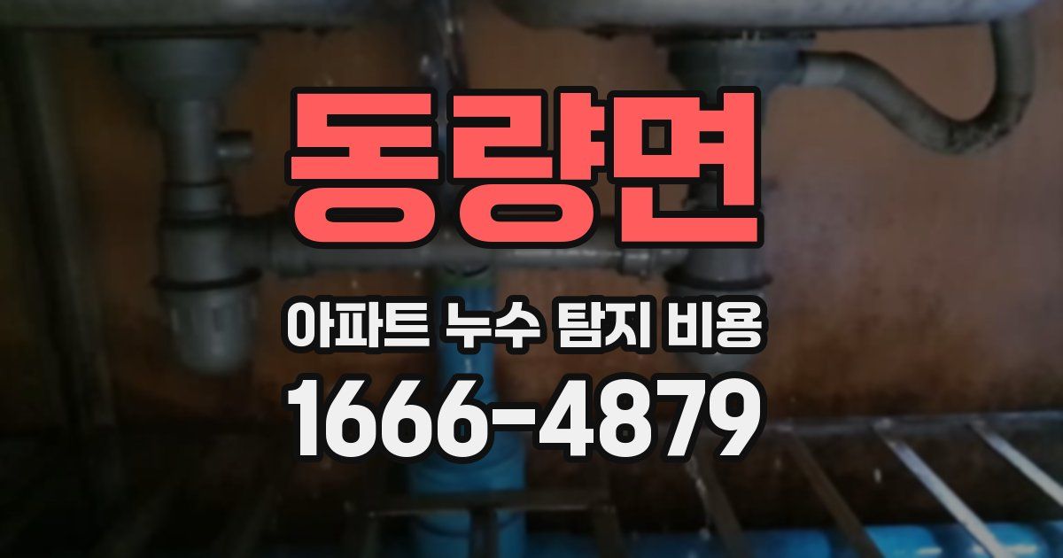 동량면 아파트 누수 탐지 비용