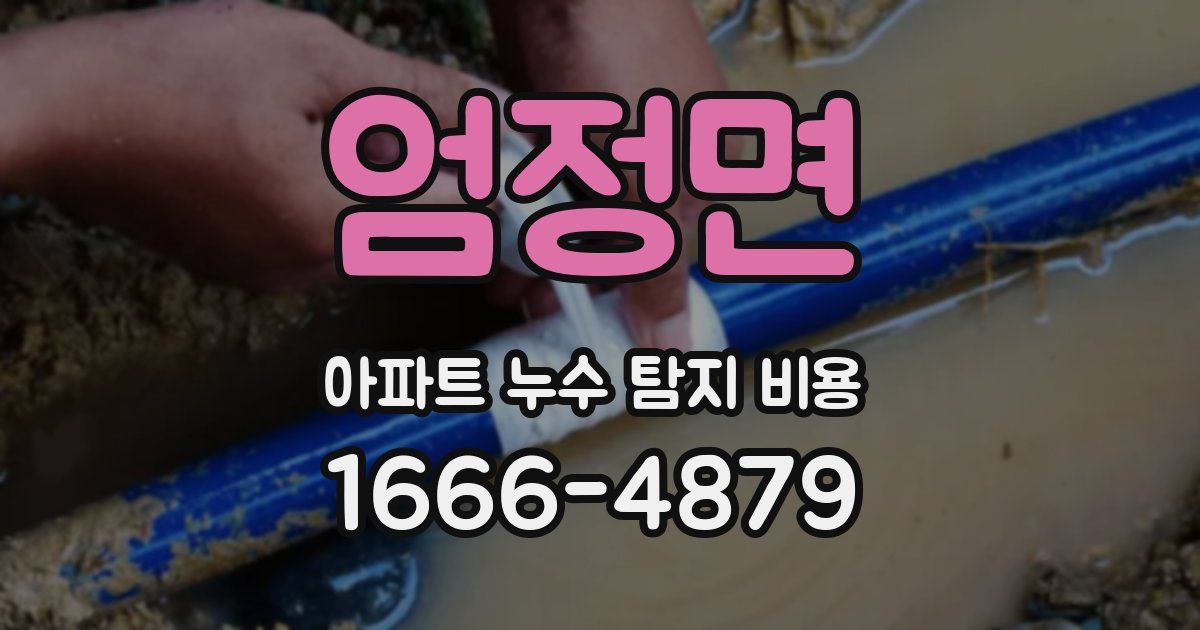 엄정면 아파트 누수 탐지 비용