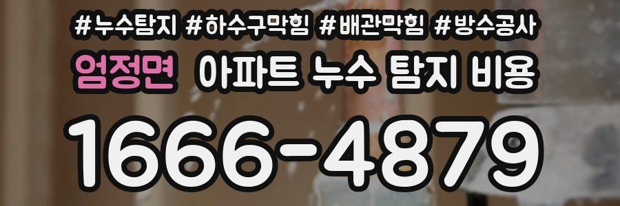 엄정면 아파트 누수 탐지 비용