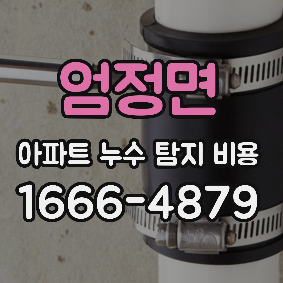 엄정면 아파트 누수 탐지 비용