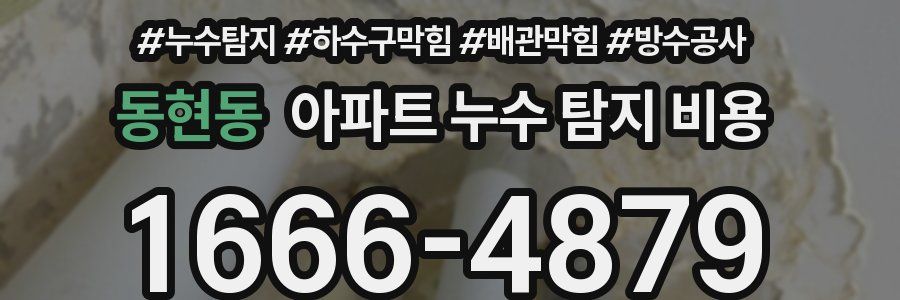 동현동 아파트 누수 탐지 비용