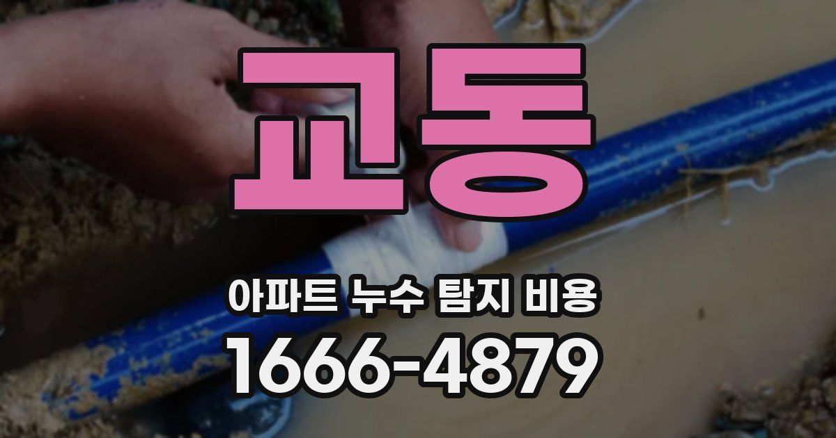 교동 아파트 누수 탐지 비용