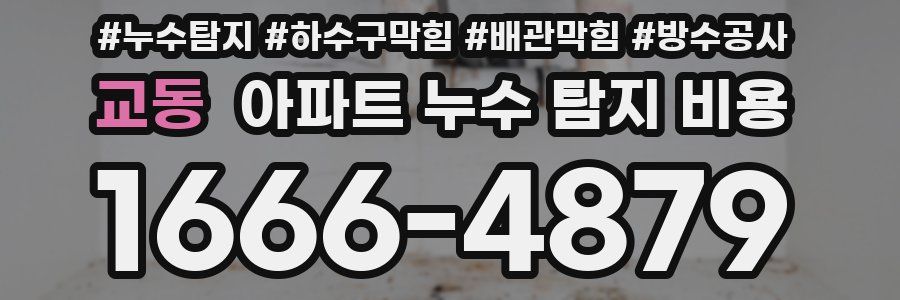 교동 아파트 누수 탐지 비용