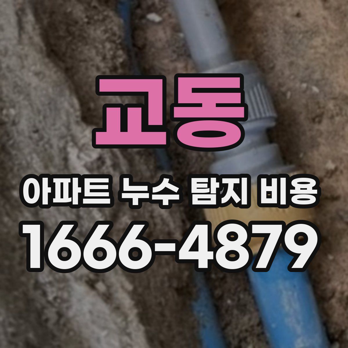 교동 아파트 누수 탐지 비용