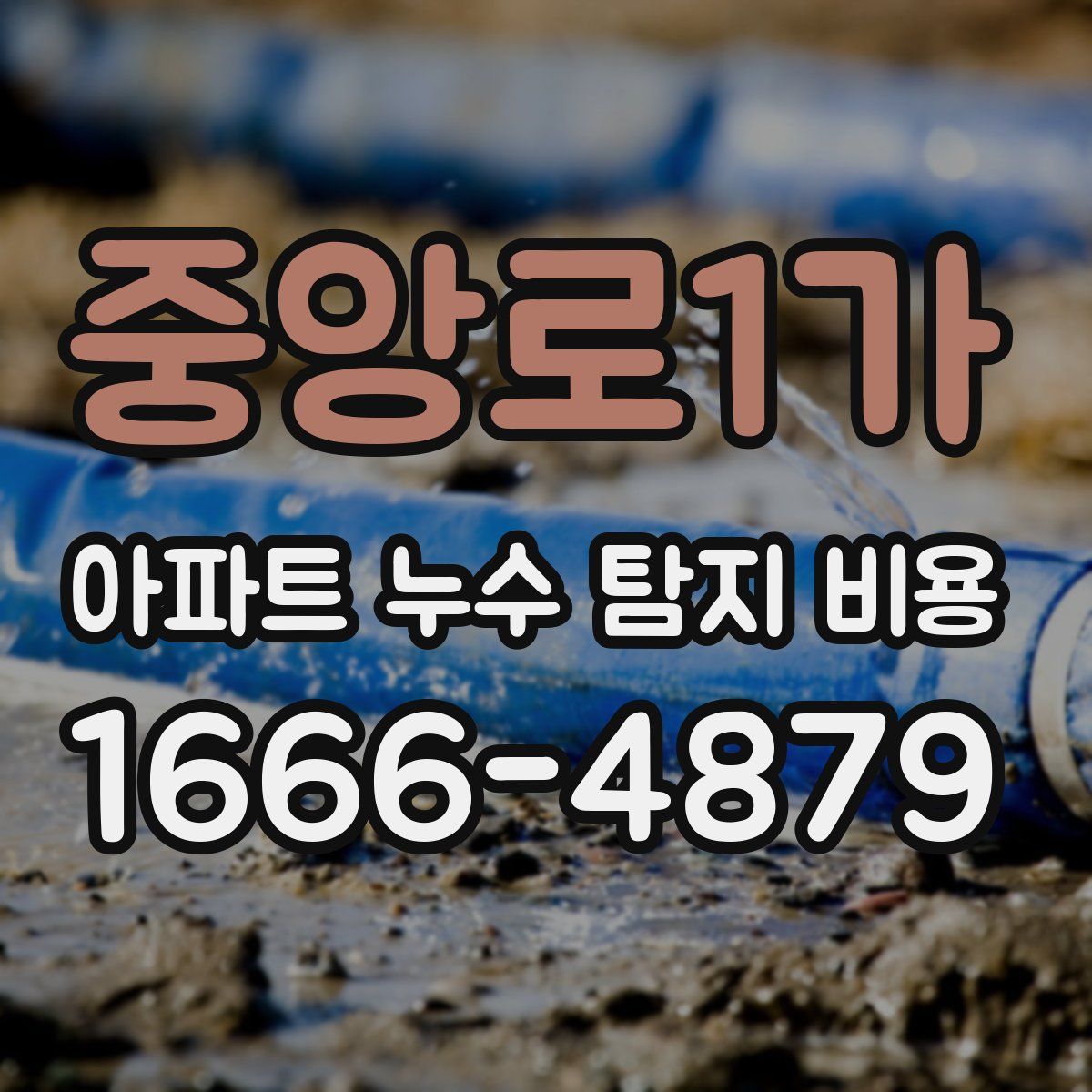 중앙로1가 아파트 누수 탐지 비용