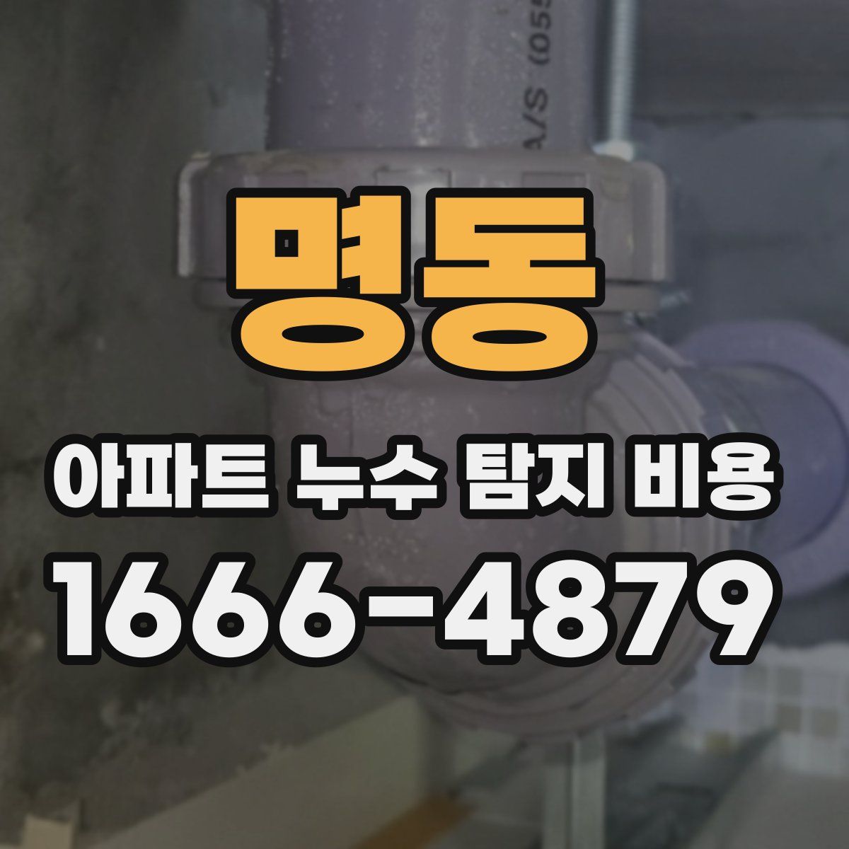 명동 아파트 누수 탐지 비용