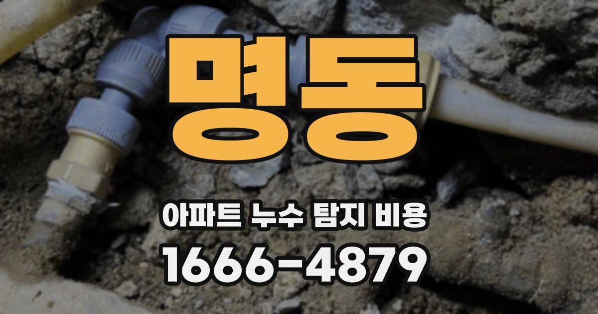 명동 아파트 누수 탐지 비용