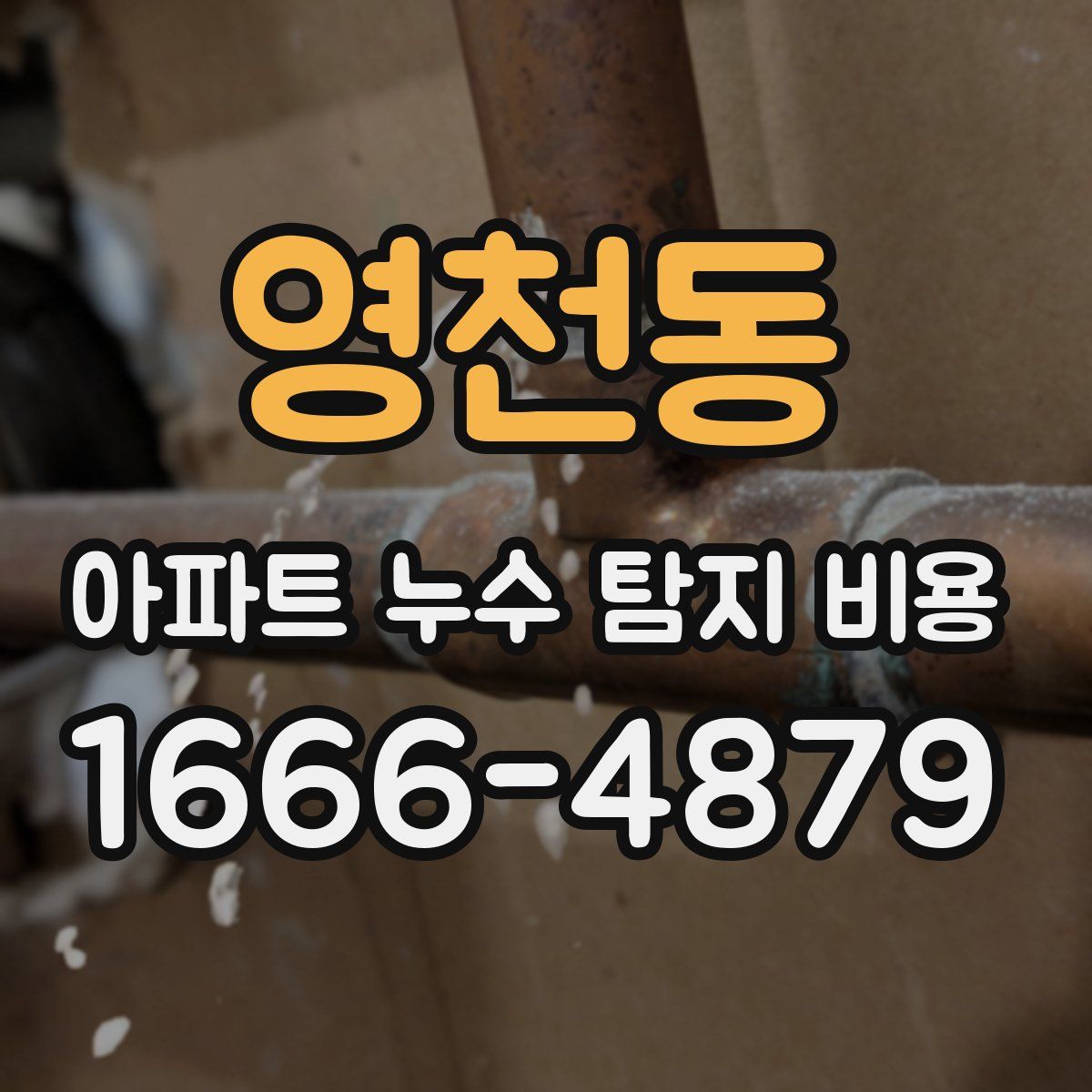 영천동 아파트 누수 탐지 비용