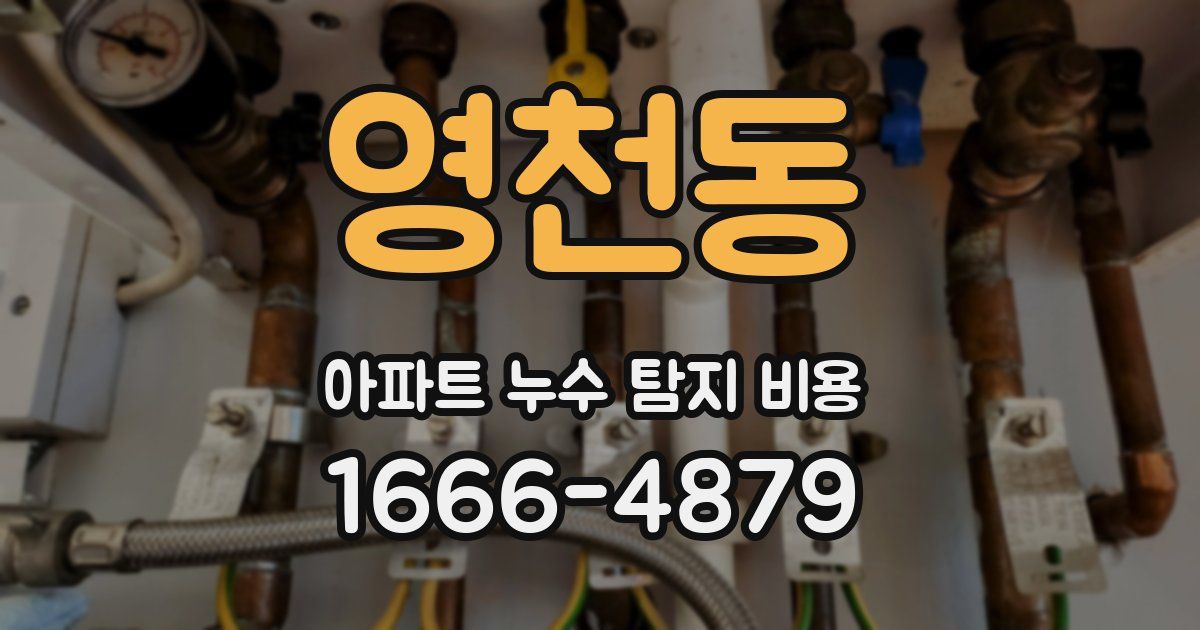 영천동 아파트 누수 탐지 비용