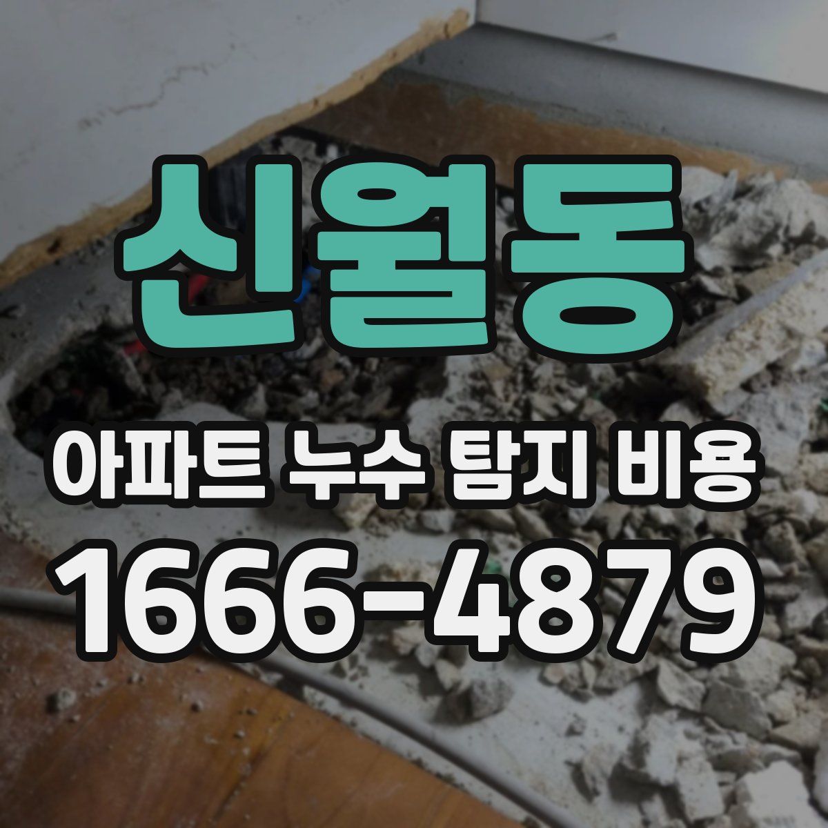 신월동 아파트 누수 탐지 비용