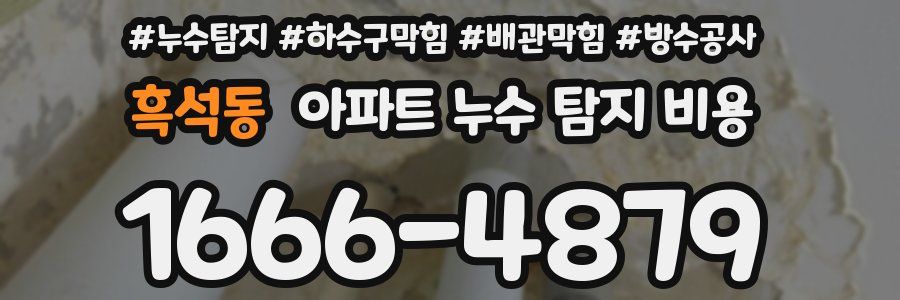 흑석동 아파트 누수 탐지 비용