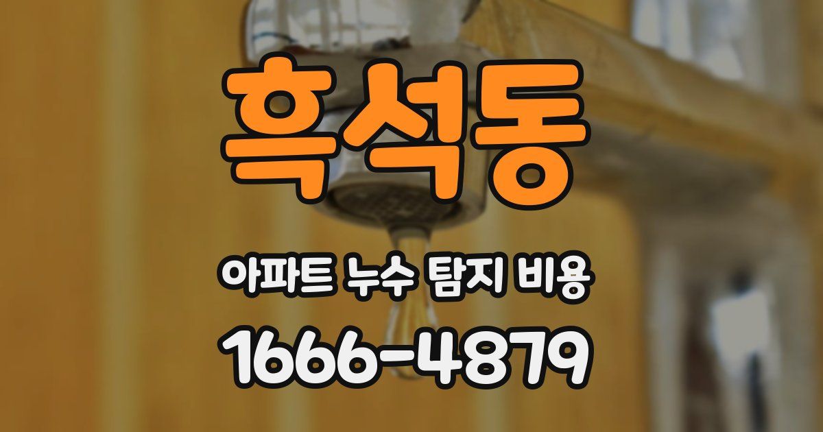 흑석동 아파트 누수 탐지 비용