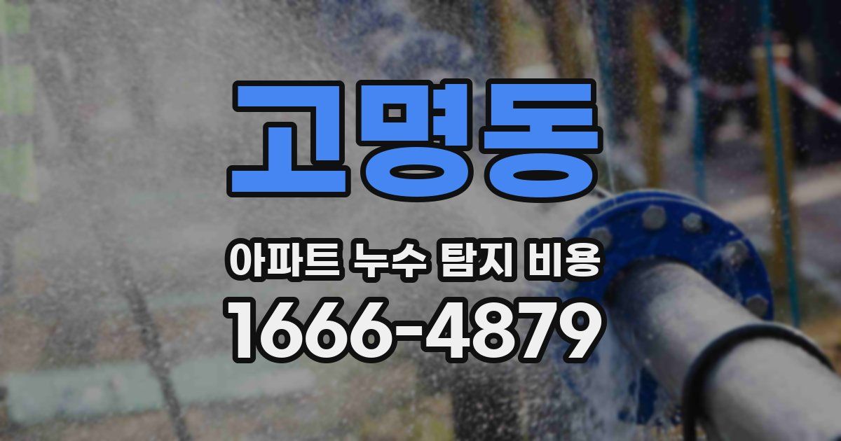 고명동 아파트 누수 탐지 비용