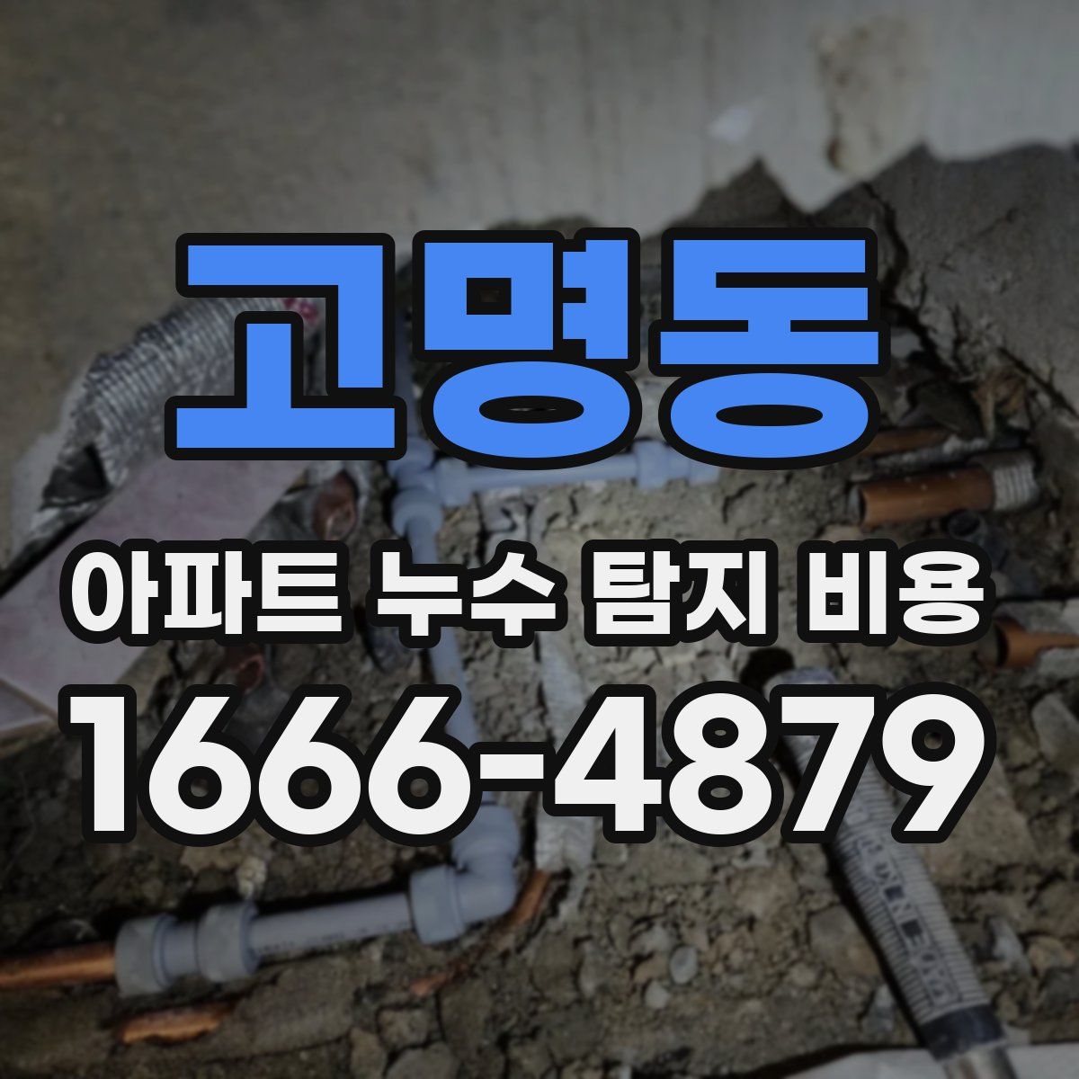 고명동 아파트 누수 탐지 비용