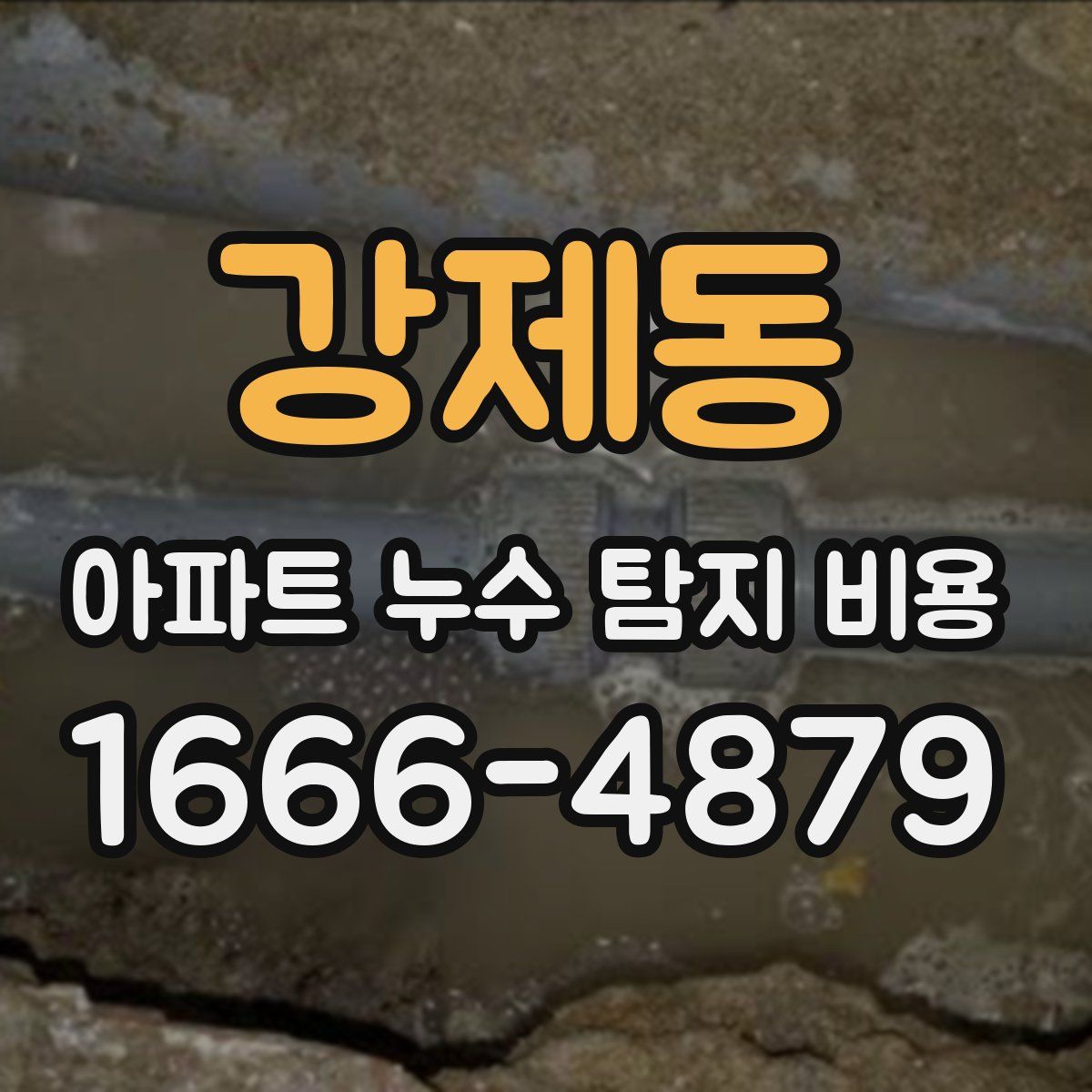 강제동 아파트 누수 탐지 비용