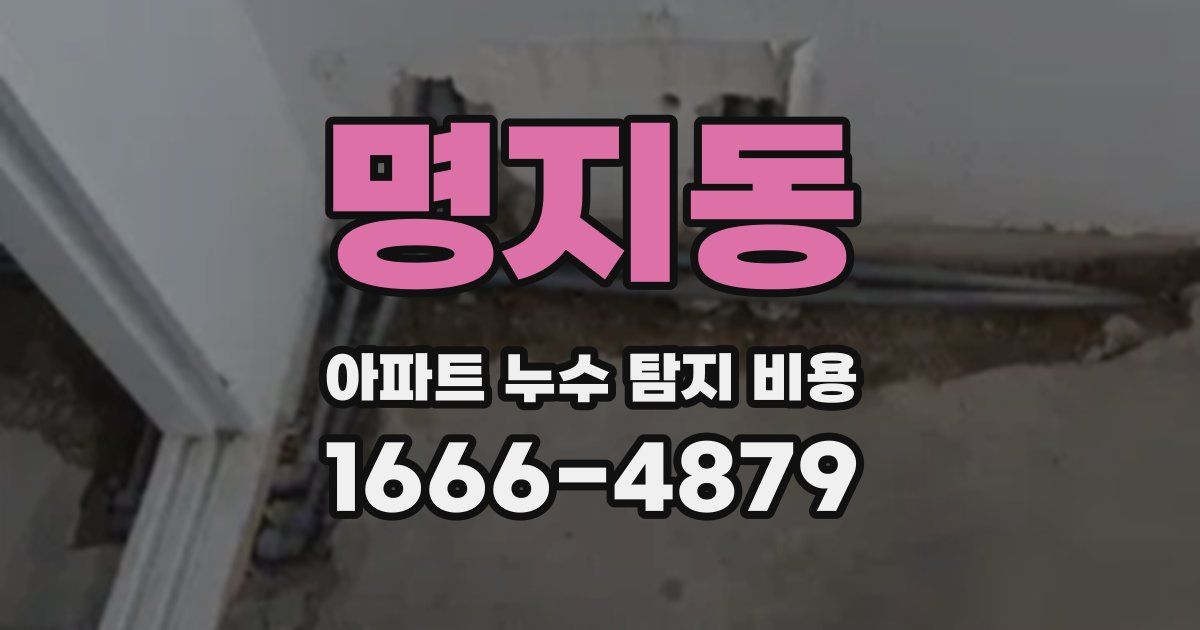 명지동 아파트 누수 탐지 비용