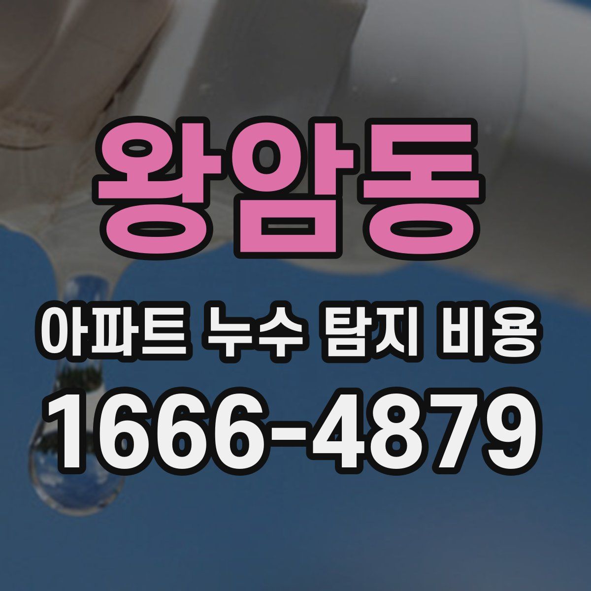 왕암동 아파트 누수 탐지 비용