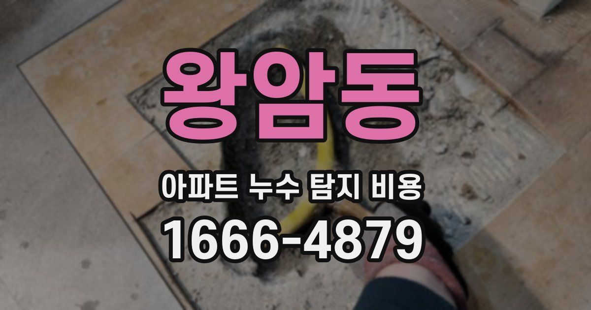 왕암동 아파트 누수 탐지 비용