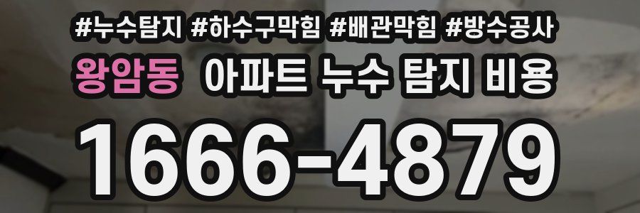 왕암동 아파트 누수 탐지 비용