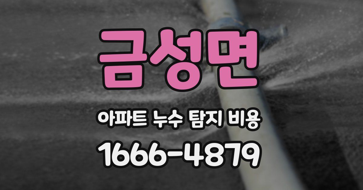 금성면 아파트 누수 탐지 비용
