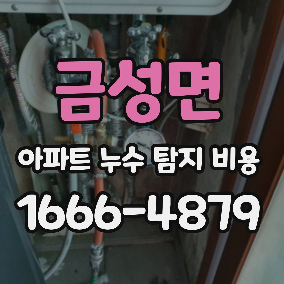 금성면 아파트 누수 탐지 비용