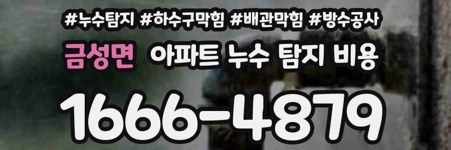 금성면 아파트 누수 탐지 비용