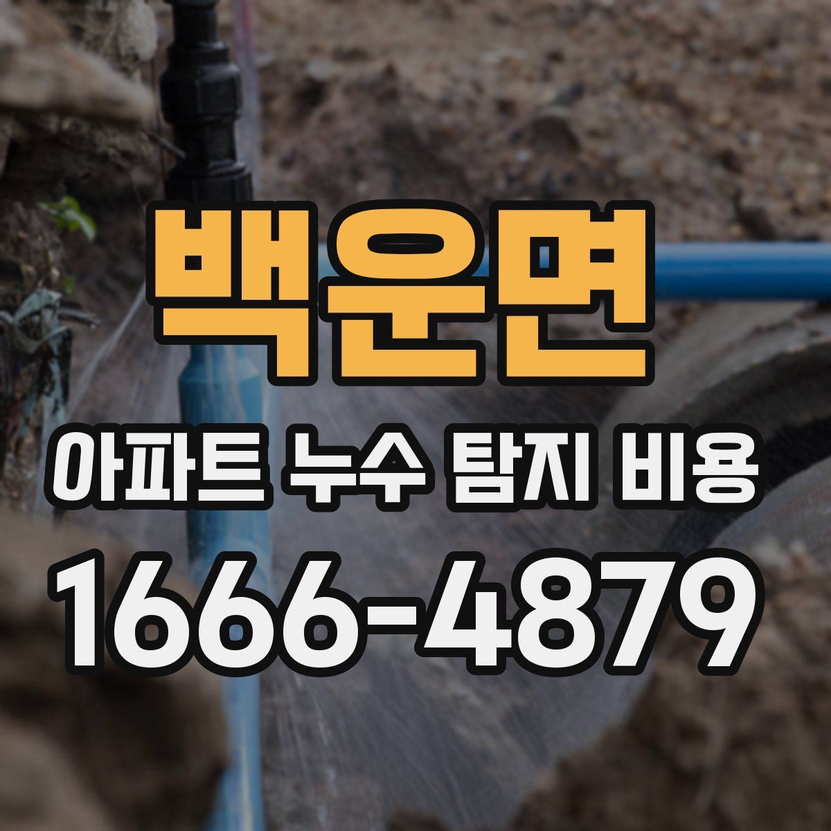 백운면 아파트 누수 탐지 비용