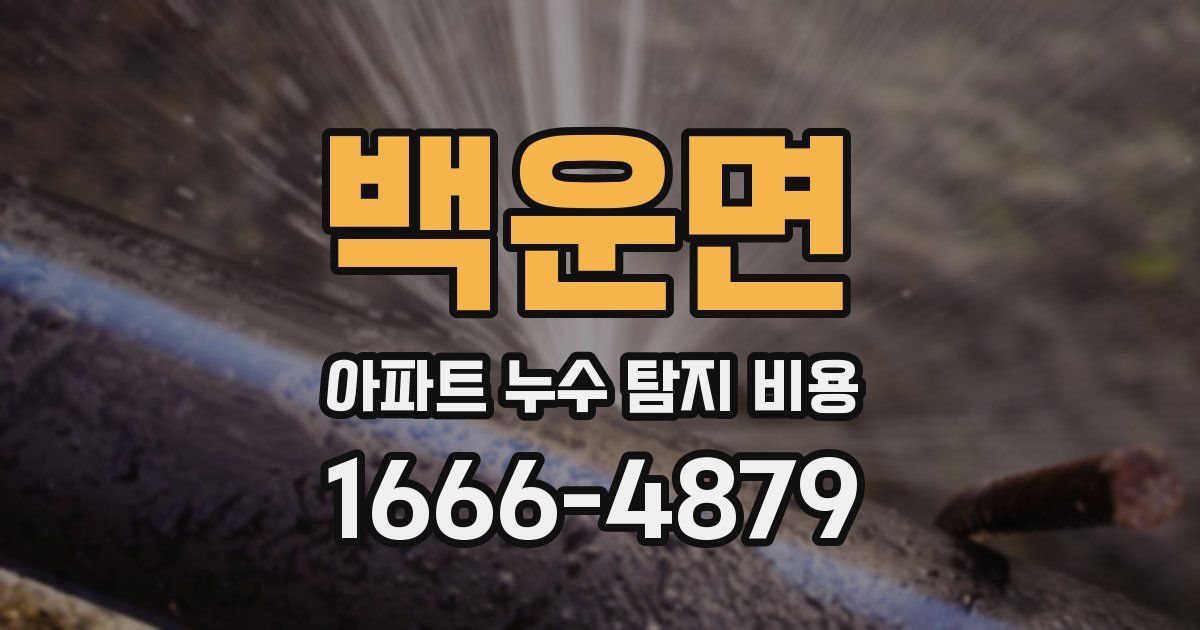 백운면 아파트 누수 탐지 비용